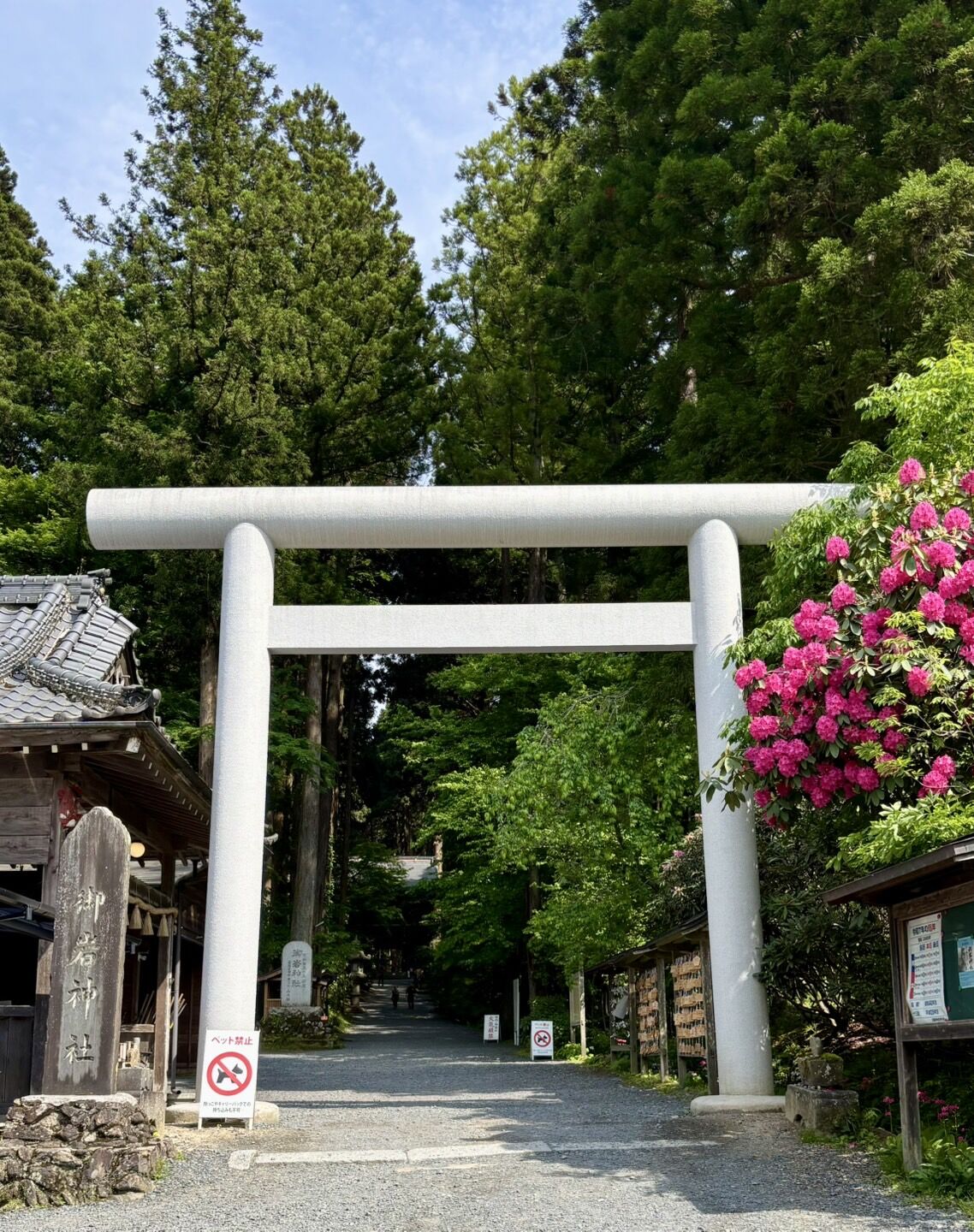 御岩神社へ参拝してきました！