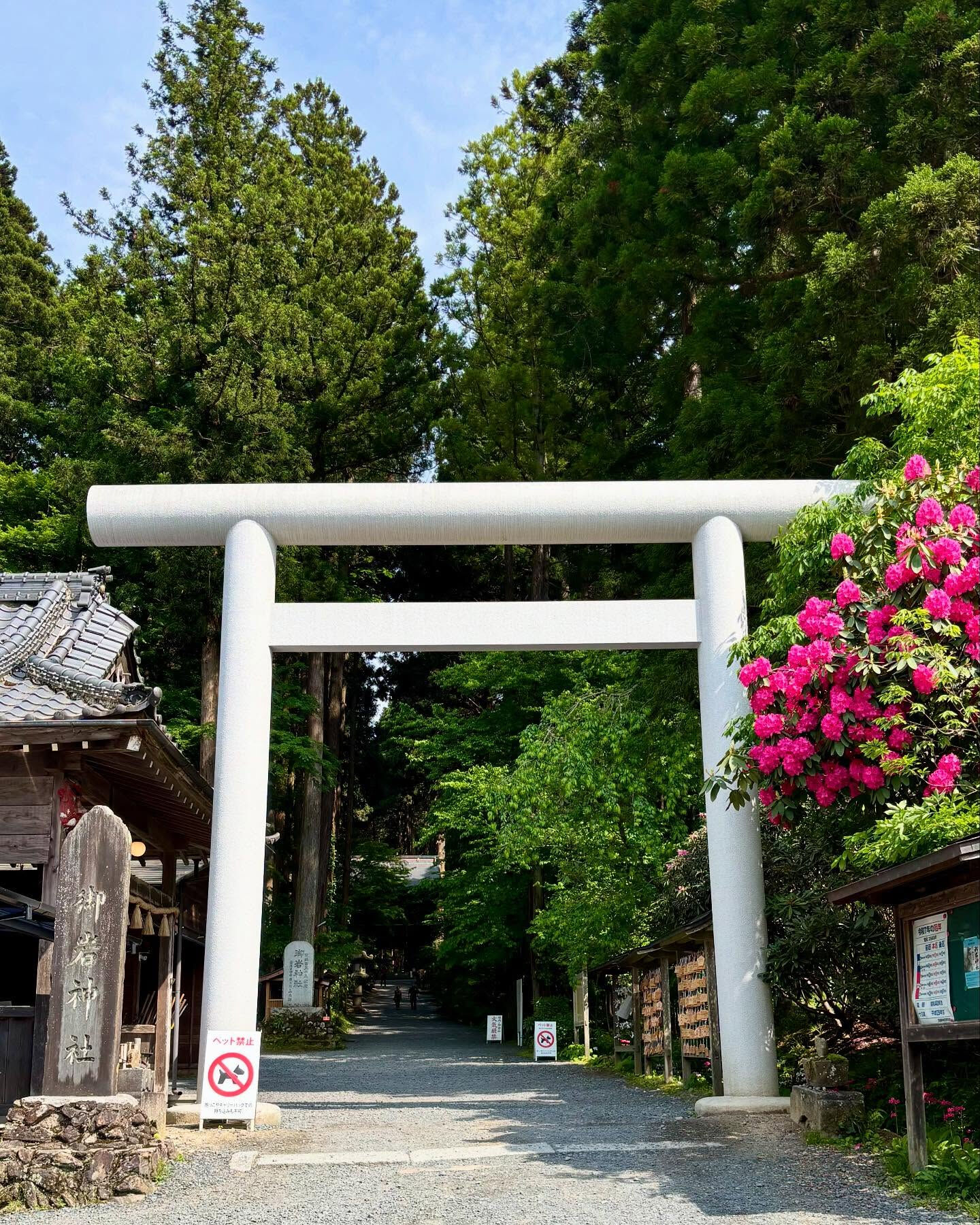 昨日は御岩神社を訪れました